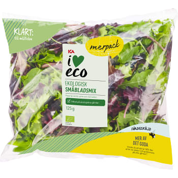 surkål ica eco surkål ica eco