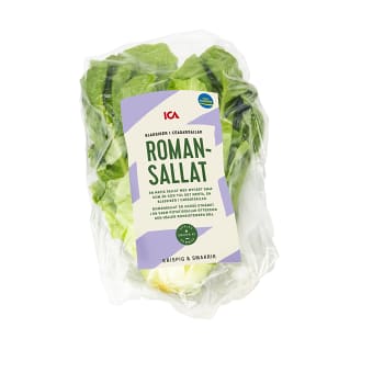 Sallat roman ICA