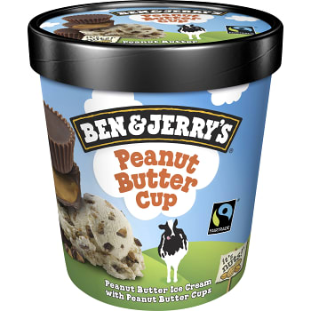 Glass Peanut butter cup 0,5l Fairtrade Ben & Jerry's