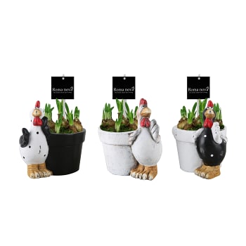 Tupp med påsklilja 1-p