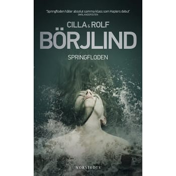 Springfloden