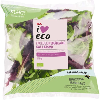Sallatsmix