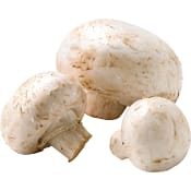 Champinjon ca 30g