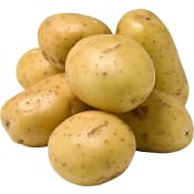 Färskpotatis Tvättad Klass 1