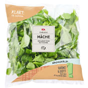 Finbladig Machesallat Sköljd 65g ICA