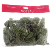Grönmossa 100g