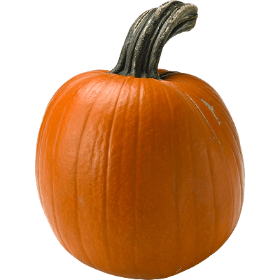 Pumpa