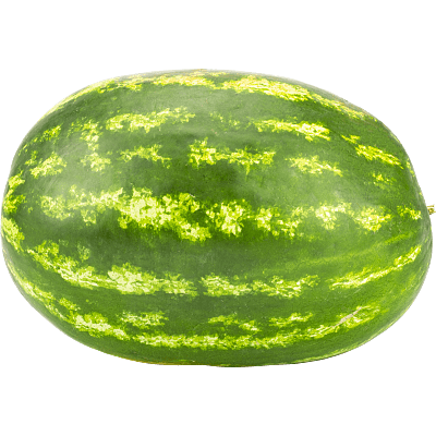 Vattenmelon Dumara