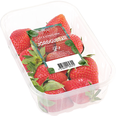 Jordgubbar